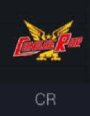 球球大作战2017BPL有哪些队伍参加比赛打揭秘