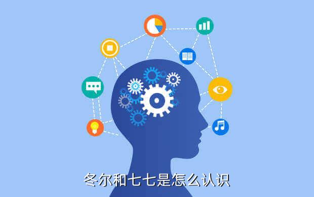 冬尔和七七是怎么认识