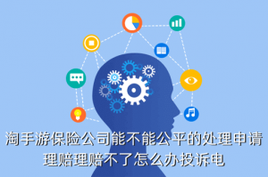 淘手游怎么找保险客服，淘手游保险公司能不能公平的处理申请理赔理赔不了怎么办投诉电