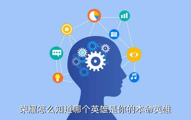 荣耀怎么知道哪个英雄是你的本命英雄