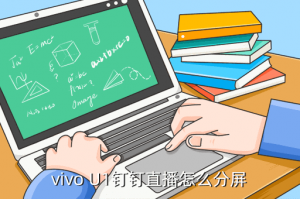 vivo手游直播怎么分屏，vivo U1钉钉直播怎么分屏