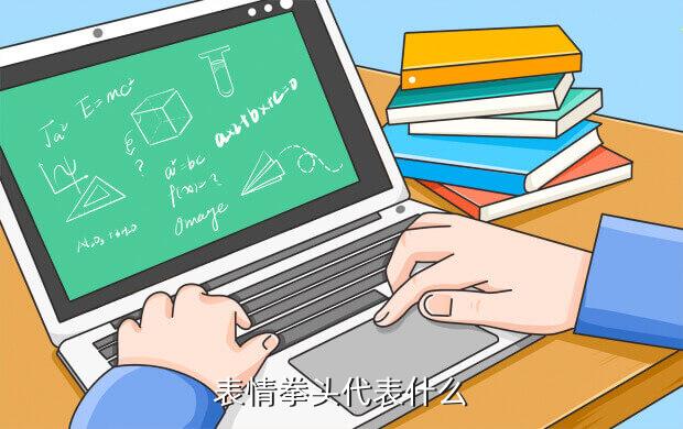 表情拳头代表什么