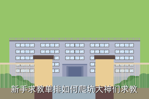 新手求教单排如何爬坑大神们求教