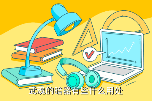 武魂的暗器有些什么用处