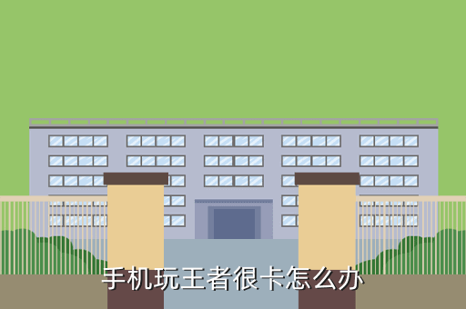 手机玩王者很卡怎么办
