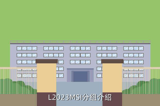 L2023MSI分组介绍