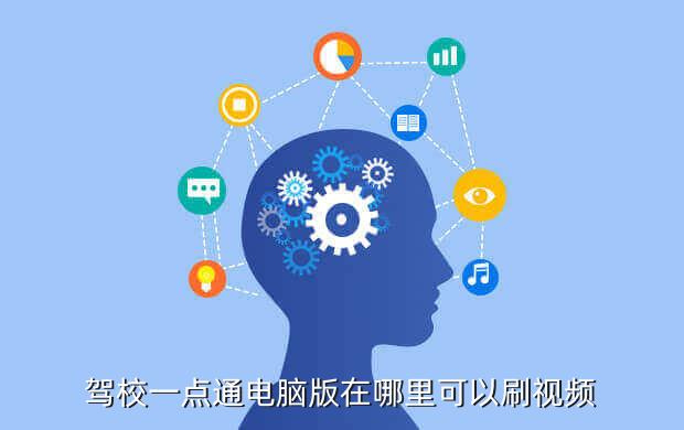 驾校一点通电脑版在哪里可以刷视频