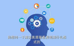 cbz格式,漫画源站导入格式