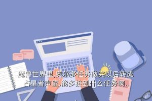 奥尔多转占星,圣骑士选奥尔多还是占星