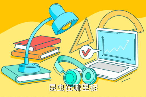 昆虫在哪里捉