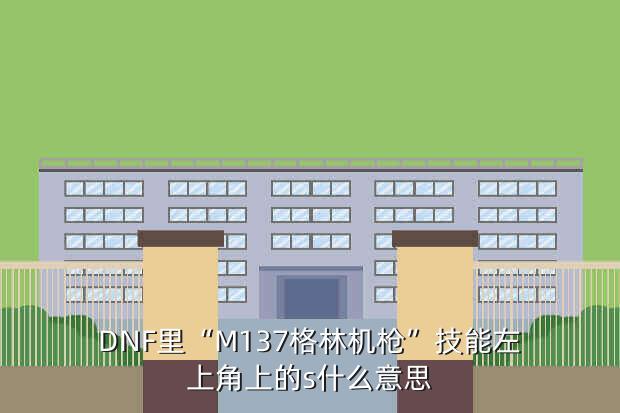 DNF里“M137格林机枪”技能左上角上的s什么意思