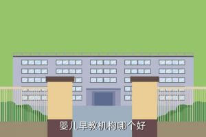 幼乐宝,哪个幼教机构比较好？