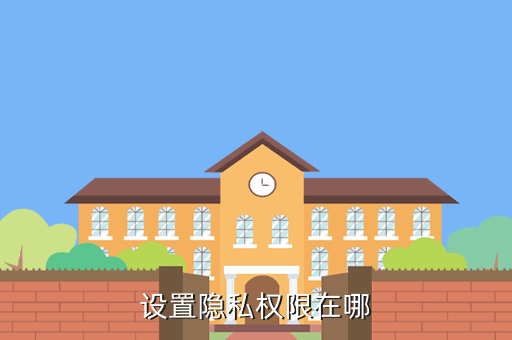 设置隐私权限在哪