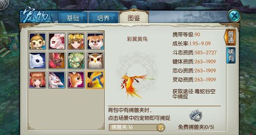 手游诛仙去哪里抓宠物诛仙到哪里抓宠物