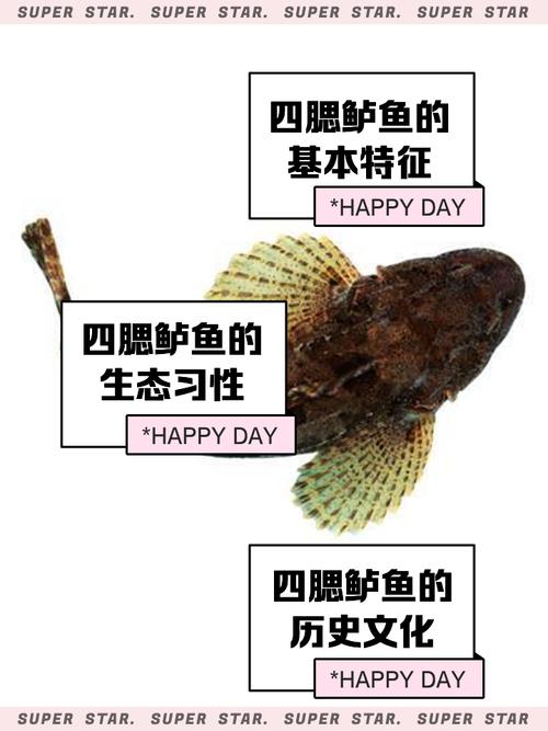 江南鱼王四腮鲈鱼在哪