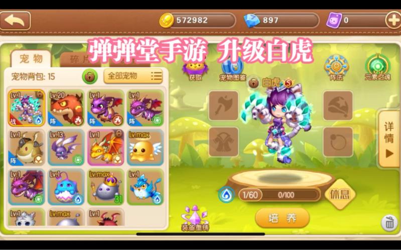弹弹堂手游如何获得高级宠物并快速升级