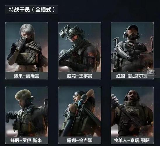 三角洲一局有几队人