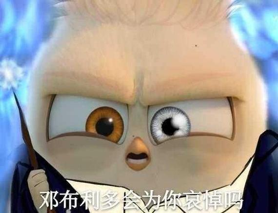 英雄联盟哈利桑是什么梗哈利波特是什么梗