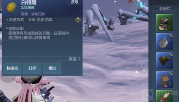妄想山海白翎雕出蛋概率