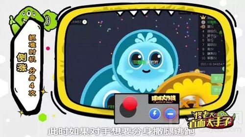 球球大作战怎么侧涨 职业选手宝呀宝i教你侧涨