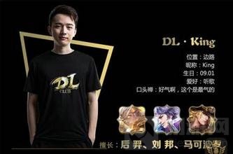 王者荣耀职业联赛最强ADC 职业ADC玩法思路