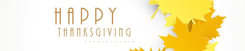 球球大作战感恩节皮肤