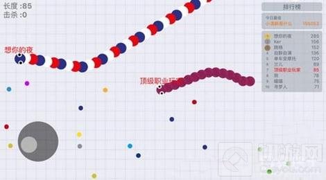 贪吃蛇大作战混战生存技巧分享 生存方法解读