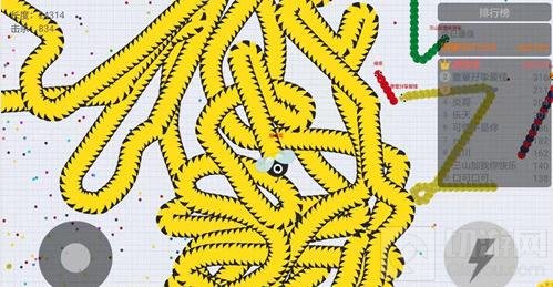 贪吃蛇大作战2分数截图 2万分高分截图分享